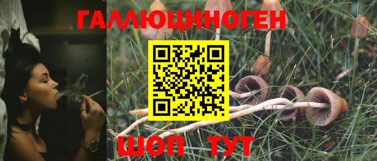 Кострома  даркнет сайт  Вход с VPN  Галлюциногенные грибы прущие грибы 